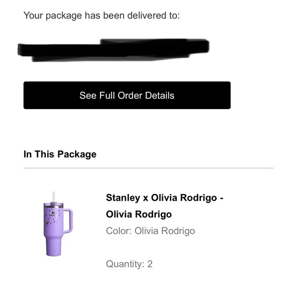 Olivia Rodrigo X Stanley - Picture 3 of 3